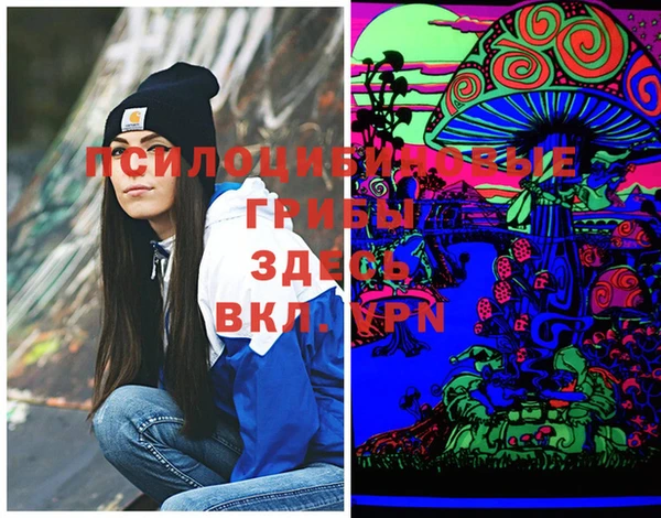 ешки Абинск