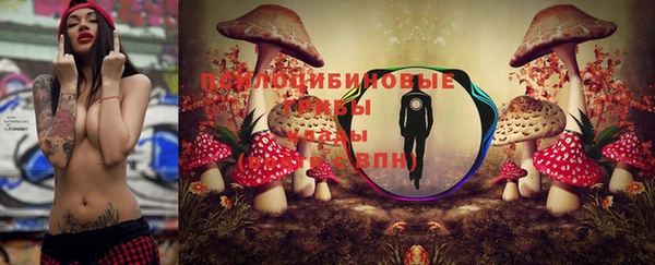 ешки Абинск