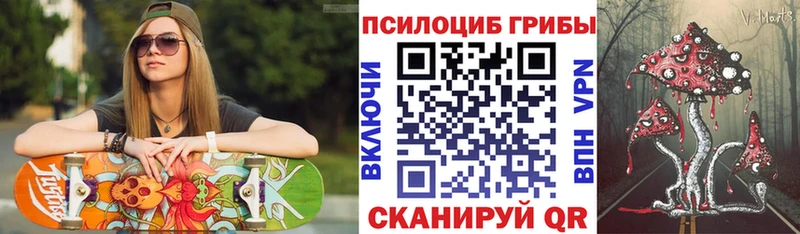 дарк нет телеграм  купить наркотики сайты  Кизляр  Галлюциногенные грибы Psilocybe 