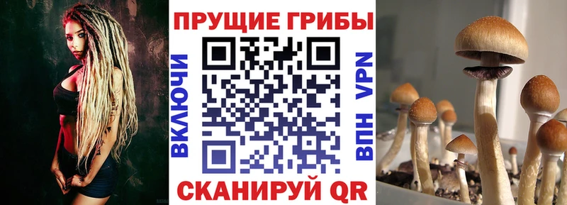 Псилоцибиновые грибы MAGIC MUSHROOMS Кизляр